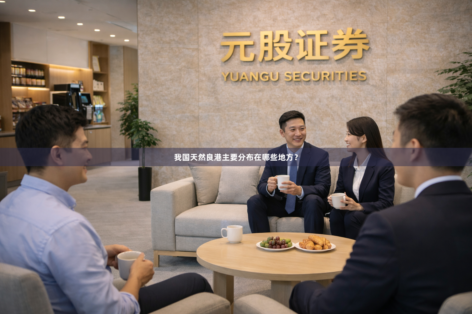 我国天然良港主要分布在哪些地方?